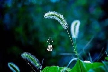 2017年7月7日 小暑(六月十四 星期五)(资源网络) - 东方.旭(青岛) - 东方.旭在青岛的博客 2017年7月7日 小暑(六月十四 星期五)(资源网络) - 东方.旭(青岛) - 东方.旭在青岛的博客
