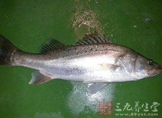 壮、侗、仫佬、仡佬等民族祭祀牛神的传统节日 水族资讯 南昌水族馆第2张 壮、侗、仫佬、仡佬等民族祭祀牛神的传统节日 水族资讯 南昌水族馆第2张