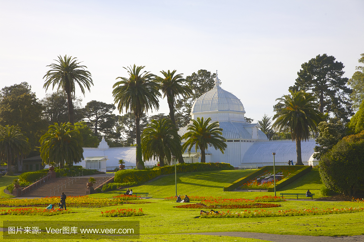 人们在金门公园附近的旧金山的花卉音乐学院坐