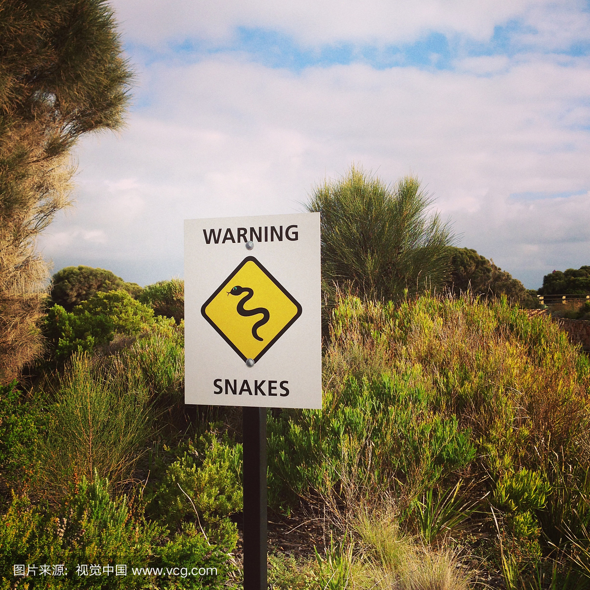 警告标志蛇