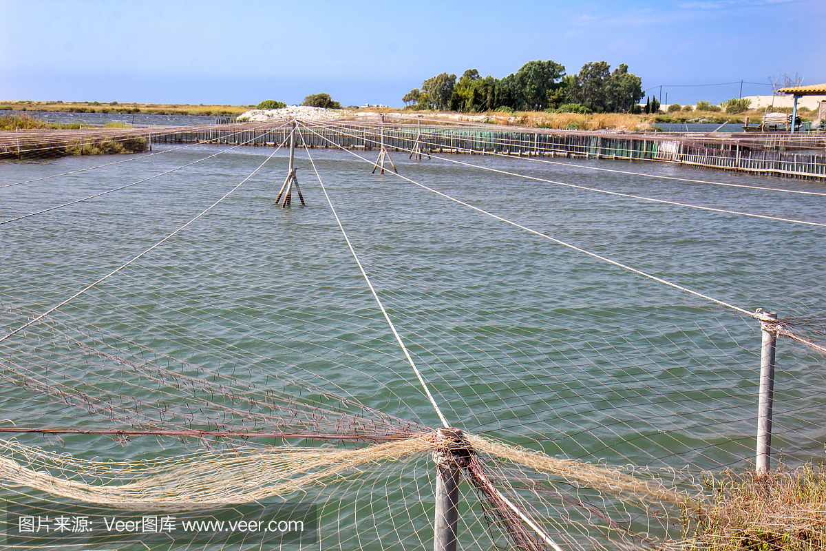 养鱼场,鱼塘,养鱼塘,养鱼池