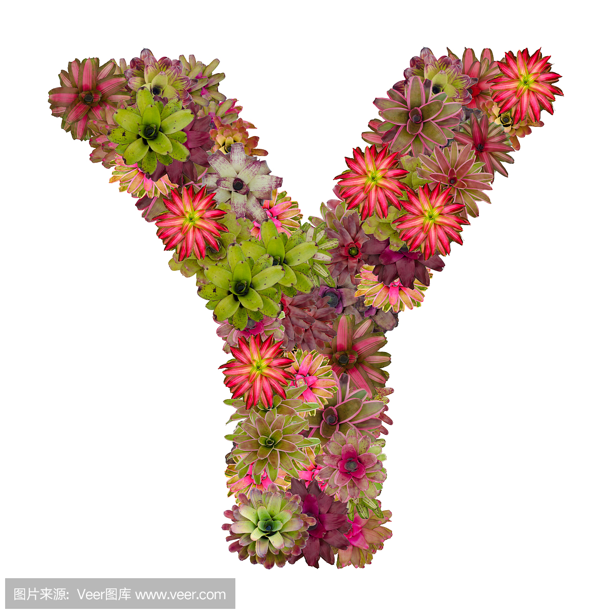 短笛,笛子,英文字母Y,Y字母