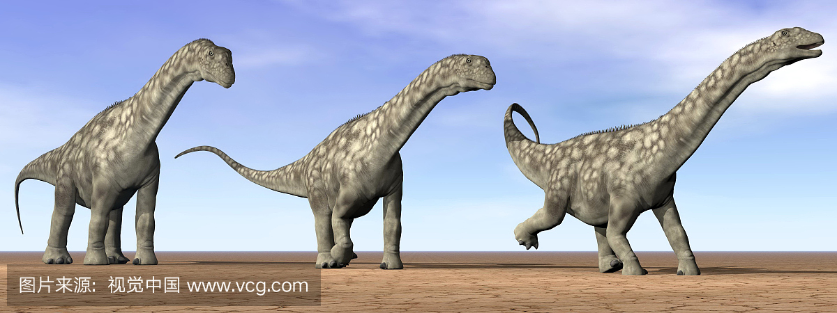 三个阿根廷恐龙站在沙漠中的日光。