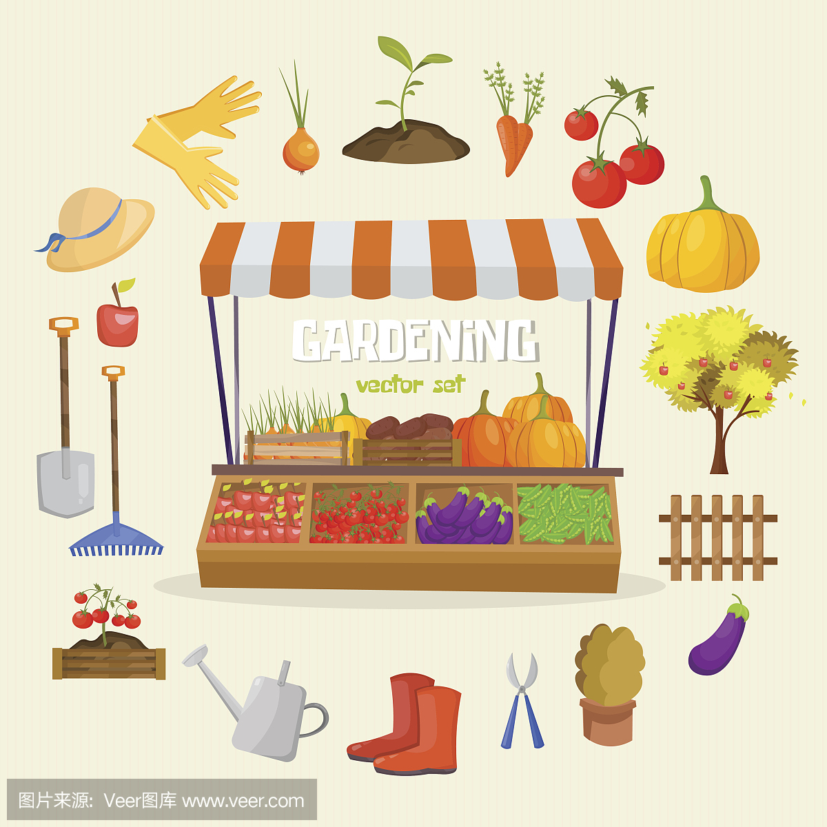 农场市场水果店信息图元素。现代平面风格新鲜