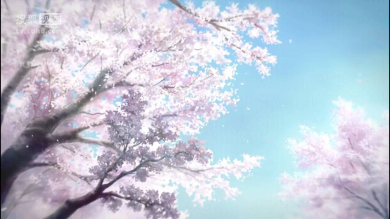 动漫樱花高清壁纸