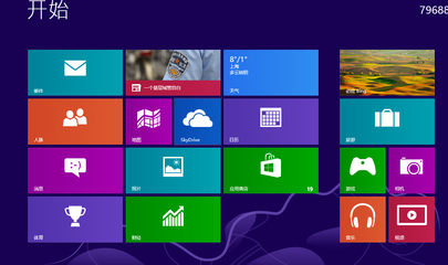 鞋垫样_w8系统怎么样_气象色谱仪进样系统