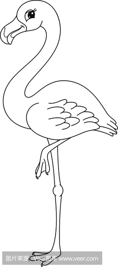 火烈鸟,红鹳,红鹤,可爱的