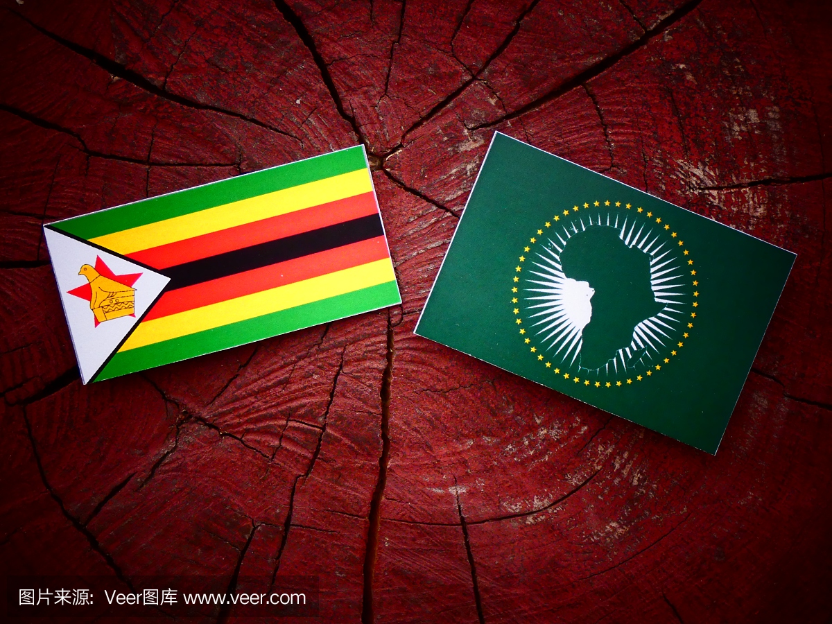 津巴布韦国旗与非洲联盟国旗孤立在树桩上