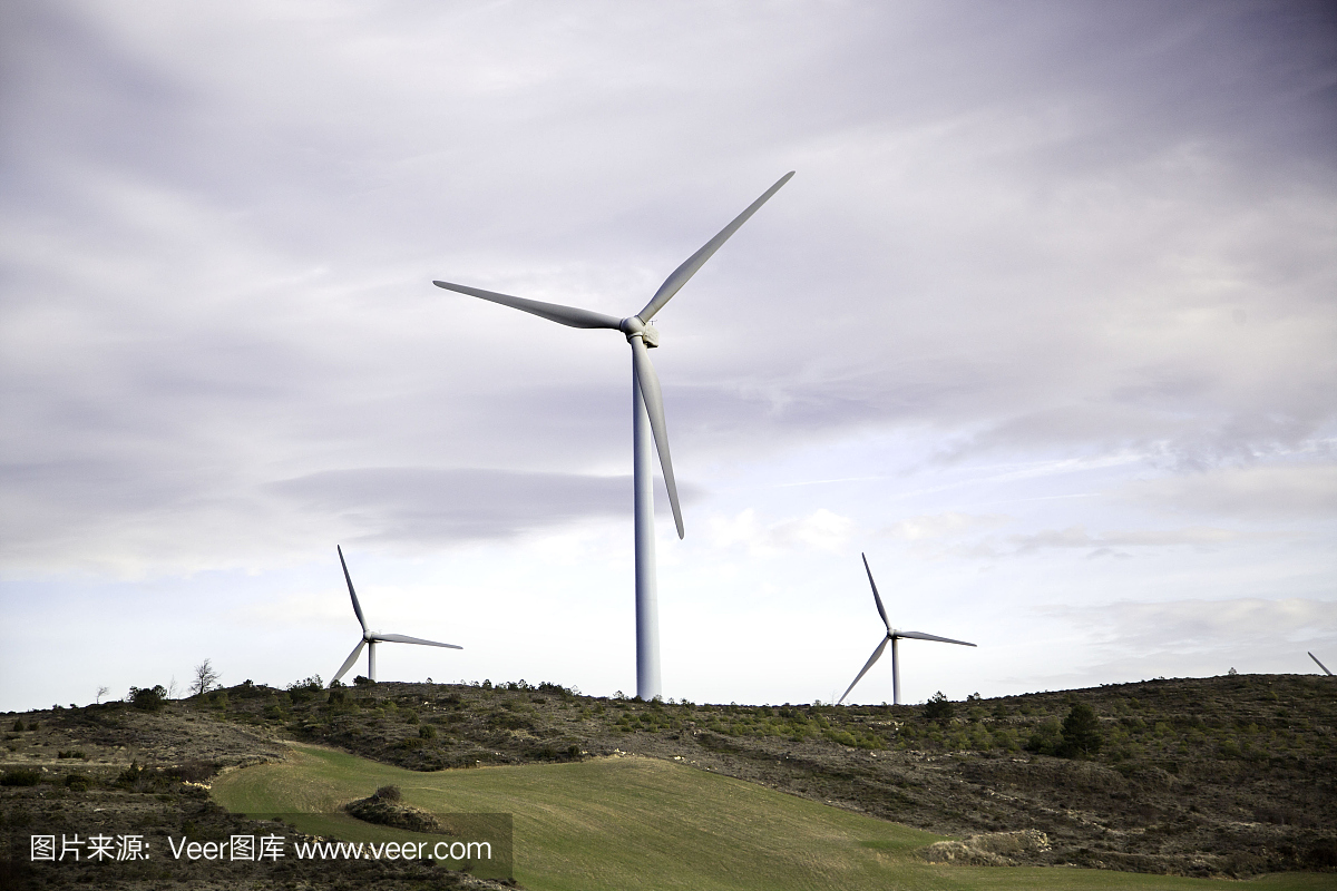 Ecological wind turbine