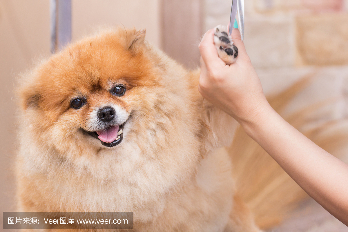 开云体育- 开云体育官方网站- 开云体育APP 最新2025化妆全套教程(很全面)(编辑修改稿)