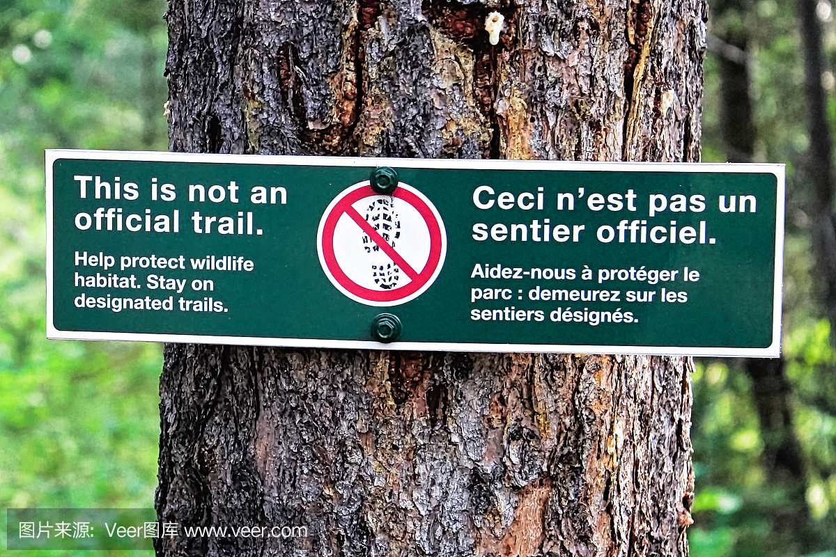 这不是森林里的官方线索标志