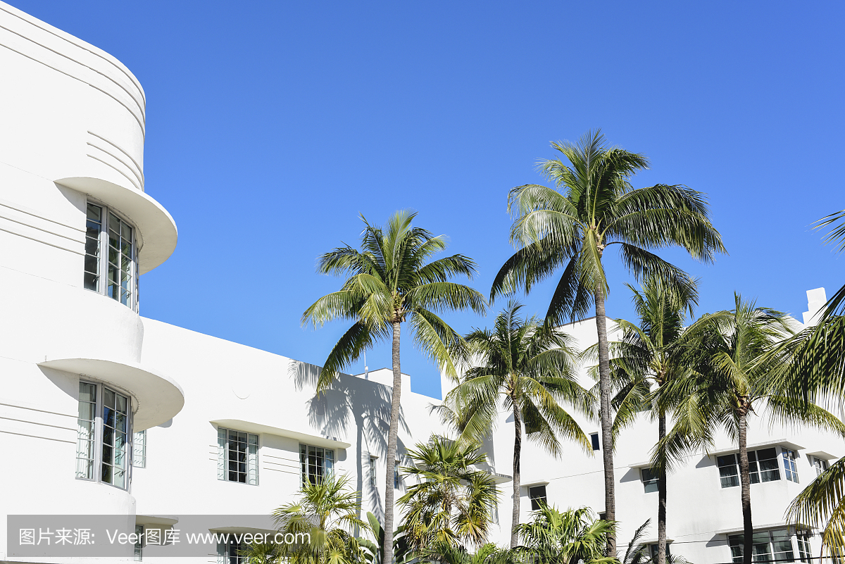 棕榈树在迈阿密南海滩旅游目的地装饰艺术