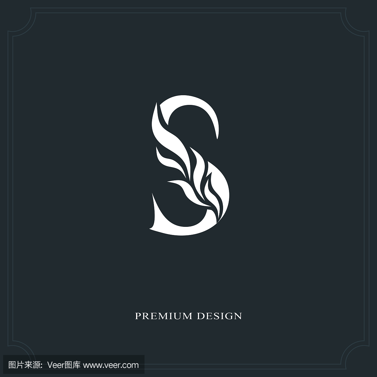 优雅的字母S优雅的风格。书法的美丽标志。复