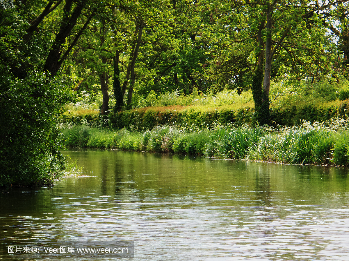 自然,水,女人,天堂