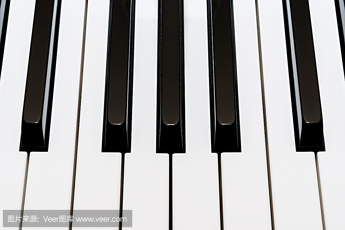音乐钢琴键盘白色和黑色