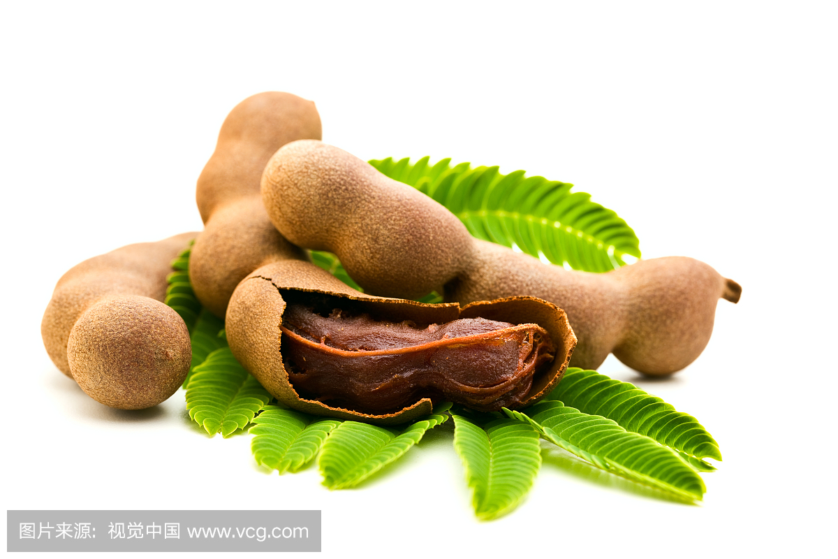 罗望子,罗望子的果实,罗晃子,罗望子果