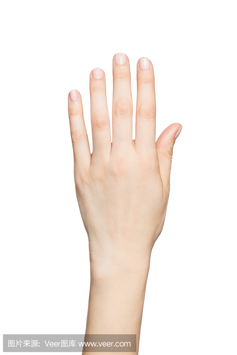 美丽的女人的手被隔绝在白色背景上