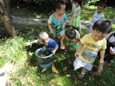 幼儿园小朋友捡垃圾_幼儿园小朋友捡垃圾图片大全
