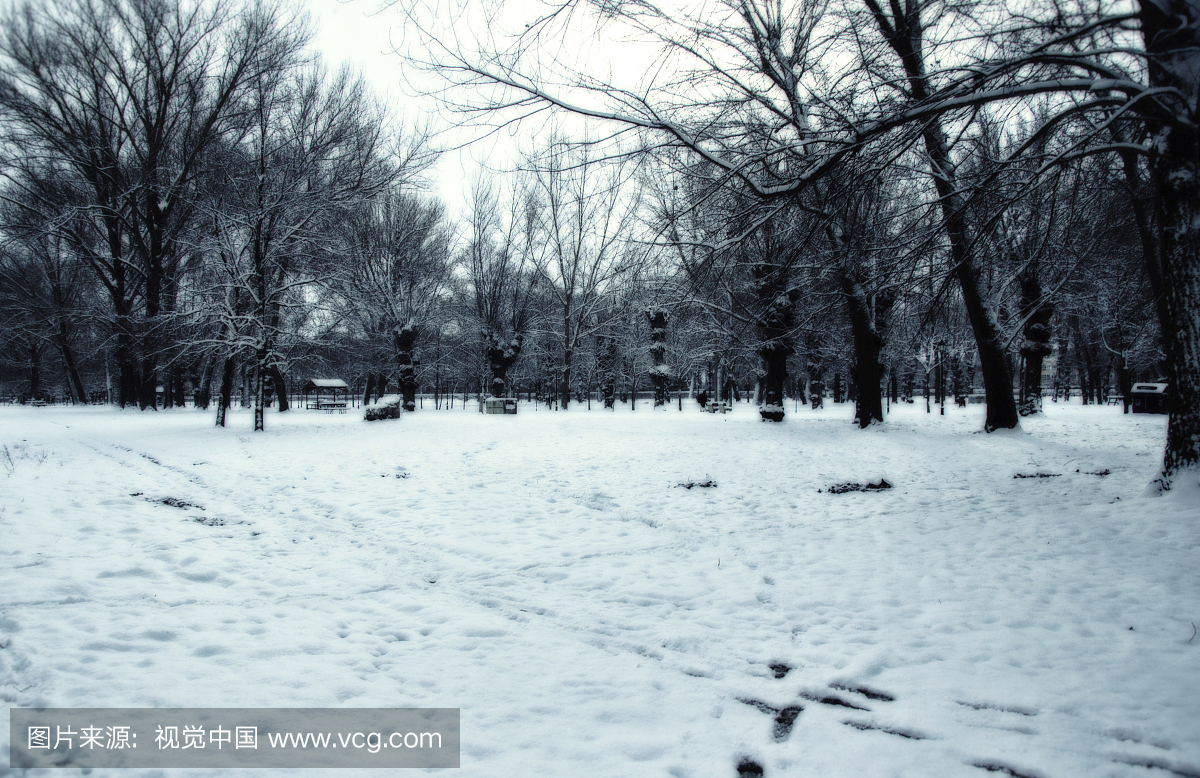 风景,雪,户外,地形