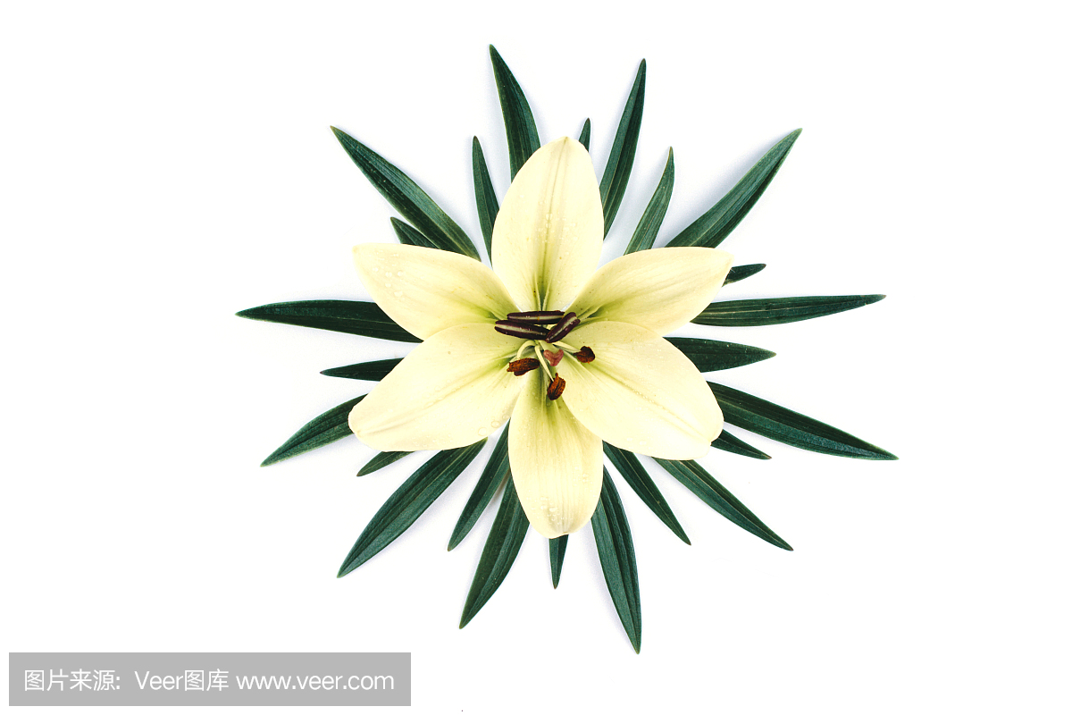 德国足球甲级联赛,德甲,海町莱,海丁利城市