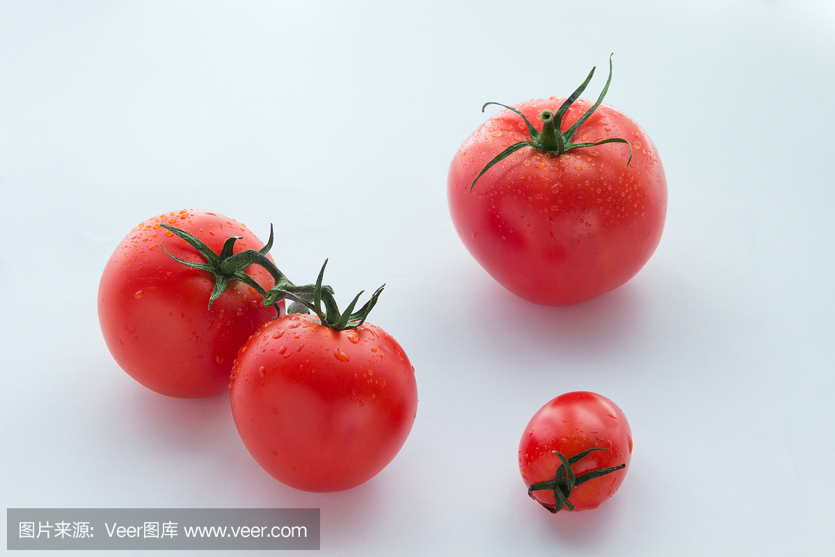 三个红色大和一个小番茄在白色背景上
