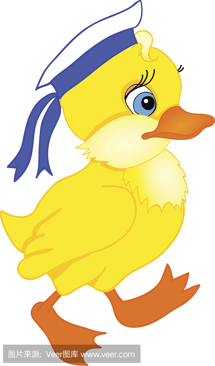 小鸭子,家鸭,小鸭,雏鸭