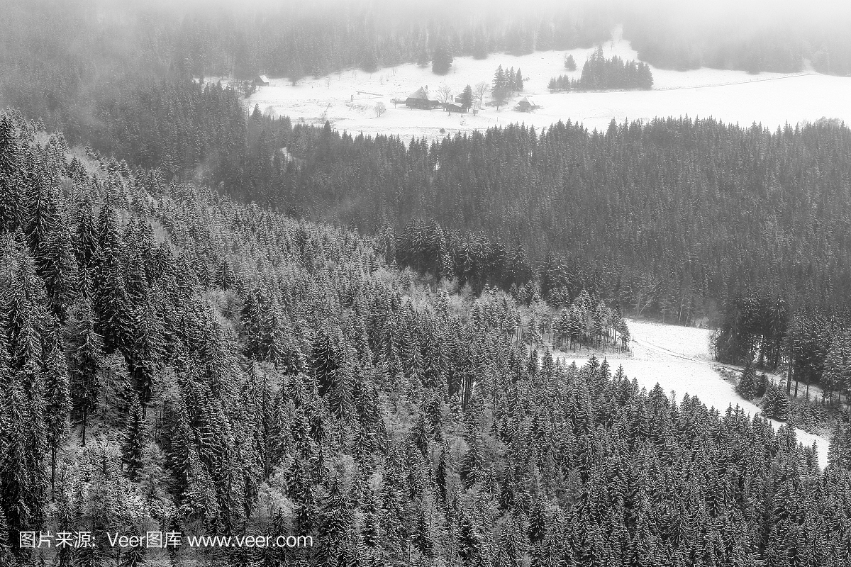 黑森林,黑色森林,黑林山,暴风雨