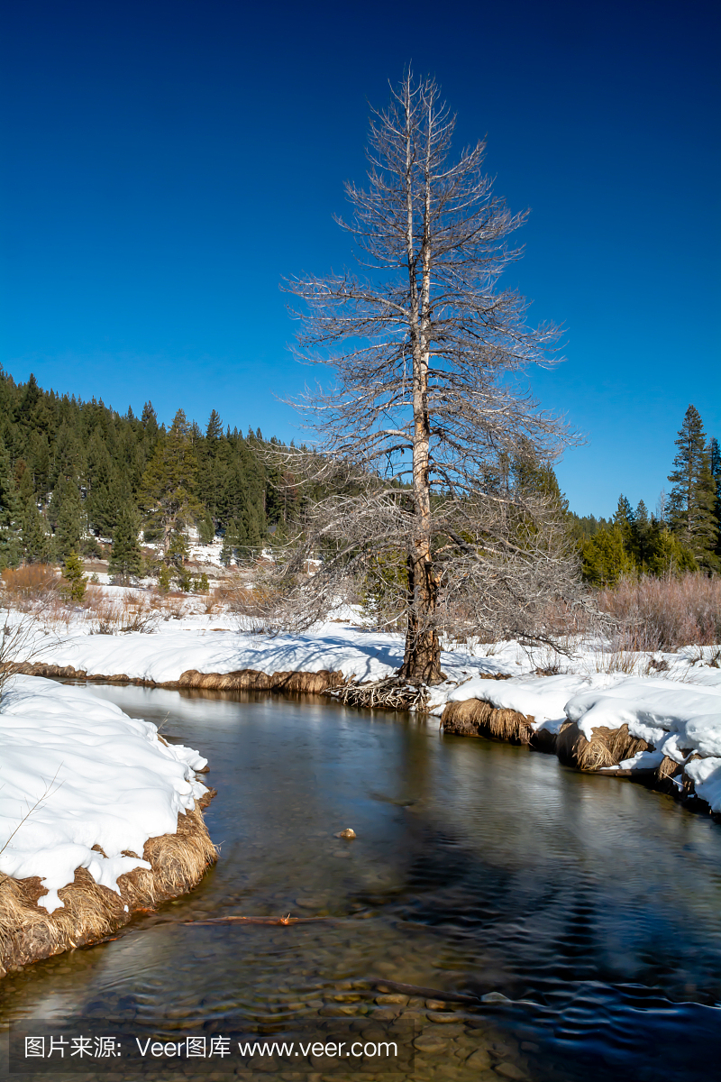 寒冷,唐纳山口,中午,环境
