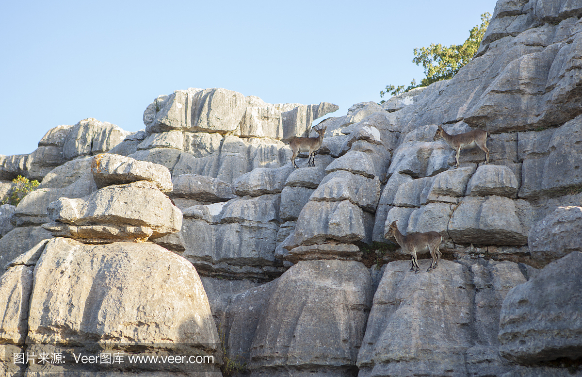 昔兰尼加,西里内伊卡,希伦奈卡,塞伦奈卡