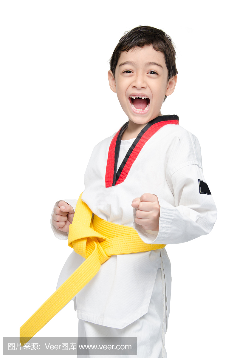 跆拳道,台拳道,柔道,柔道冠军