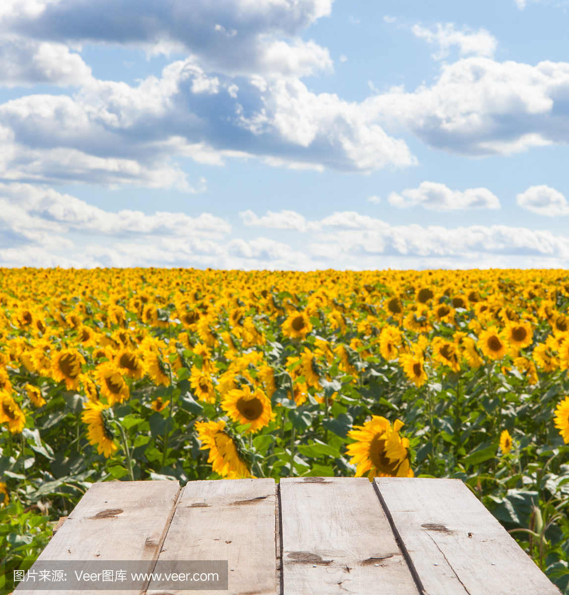 垂直画幅,无人,户外,完美