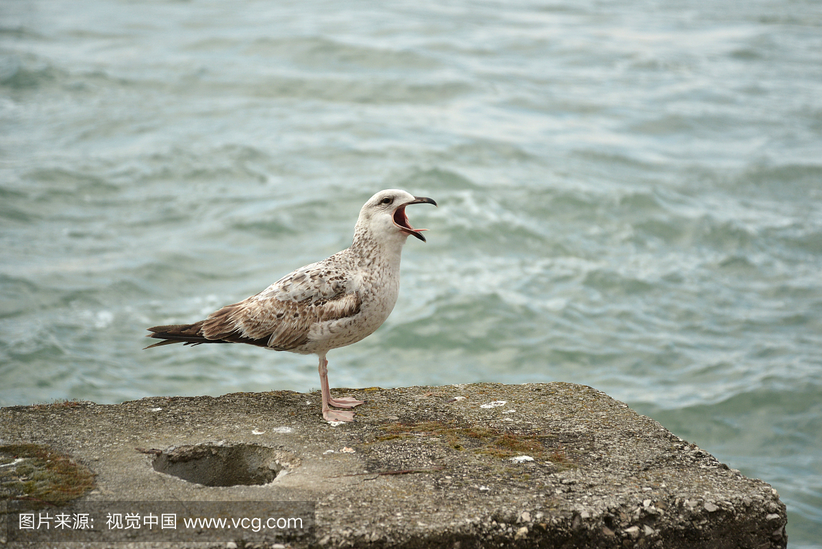 欧洲,南欧,意大利,天气