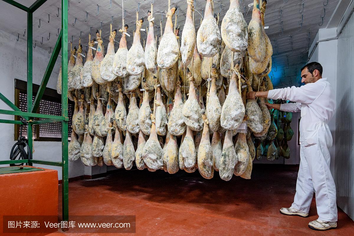 主要工匠屠宰检查火腿的治疗状态是自然干燥