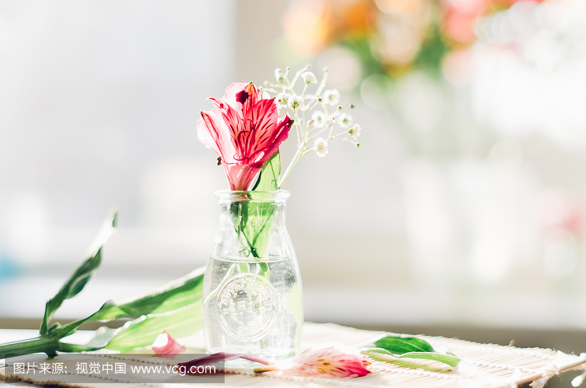 在一个阳光灿烂的日子在家里,在一个木制表面