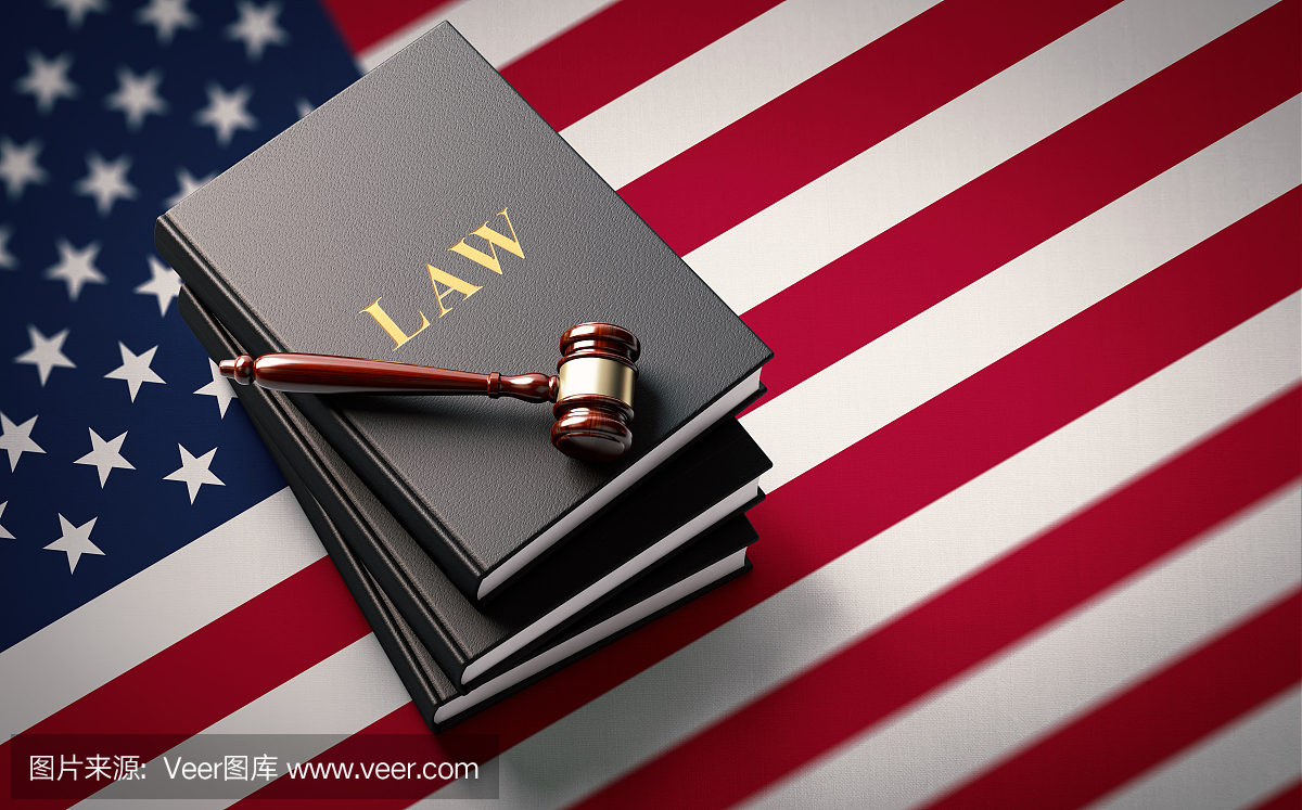 美国国旗:美国司法概念的美国法律书籍