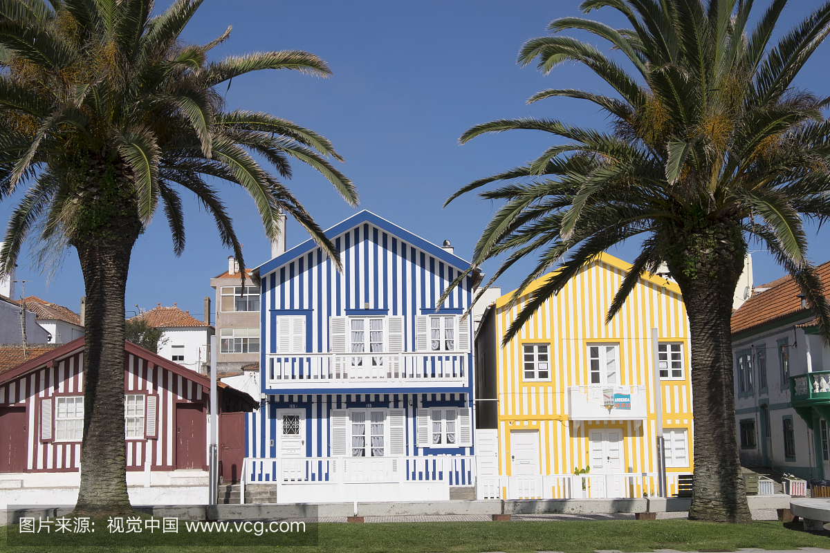 棕榈树和房屋正面,Praia Da Costa Nova,葡萄牙