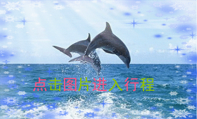 壁纸 动物 海洋动物 鲸鱼 桌面 395_240 gif 动态图 动图