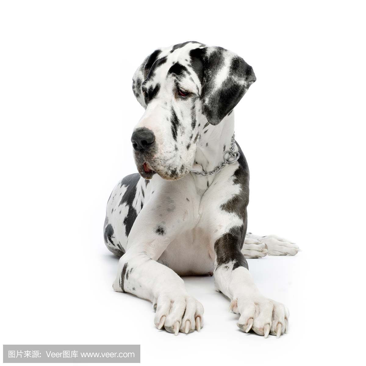 丹麦郡,丹麦人郡,戴恩军,丹麦县