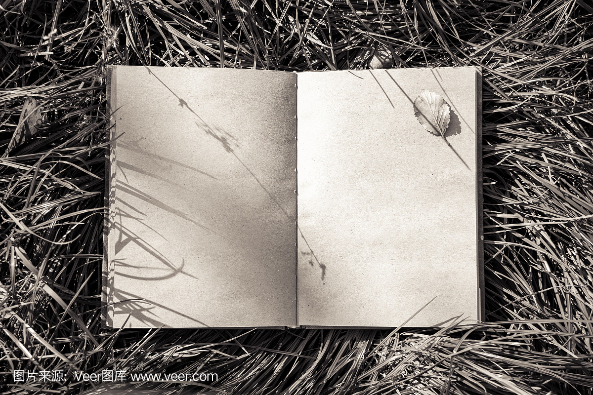 相册,相册的,相本,影集