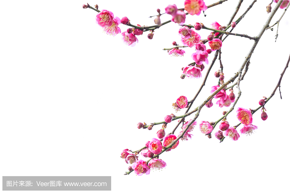 江苏省,江苏,南京,江苏省会