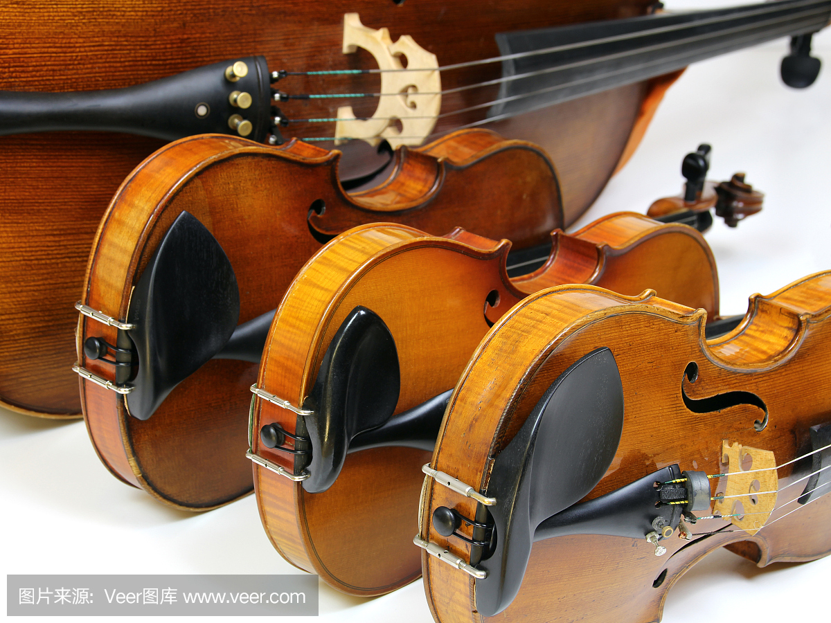 弦乐四重奏 - 小提琴,中提琴和大提琴