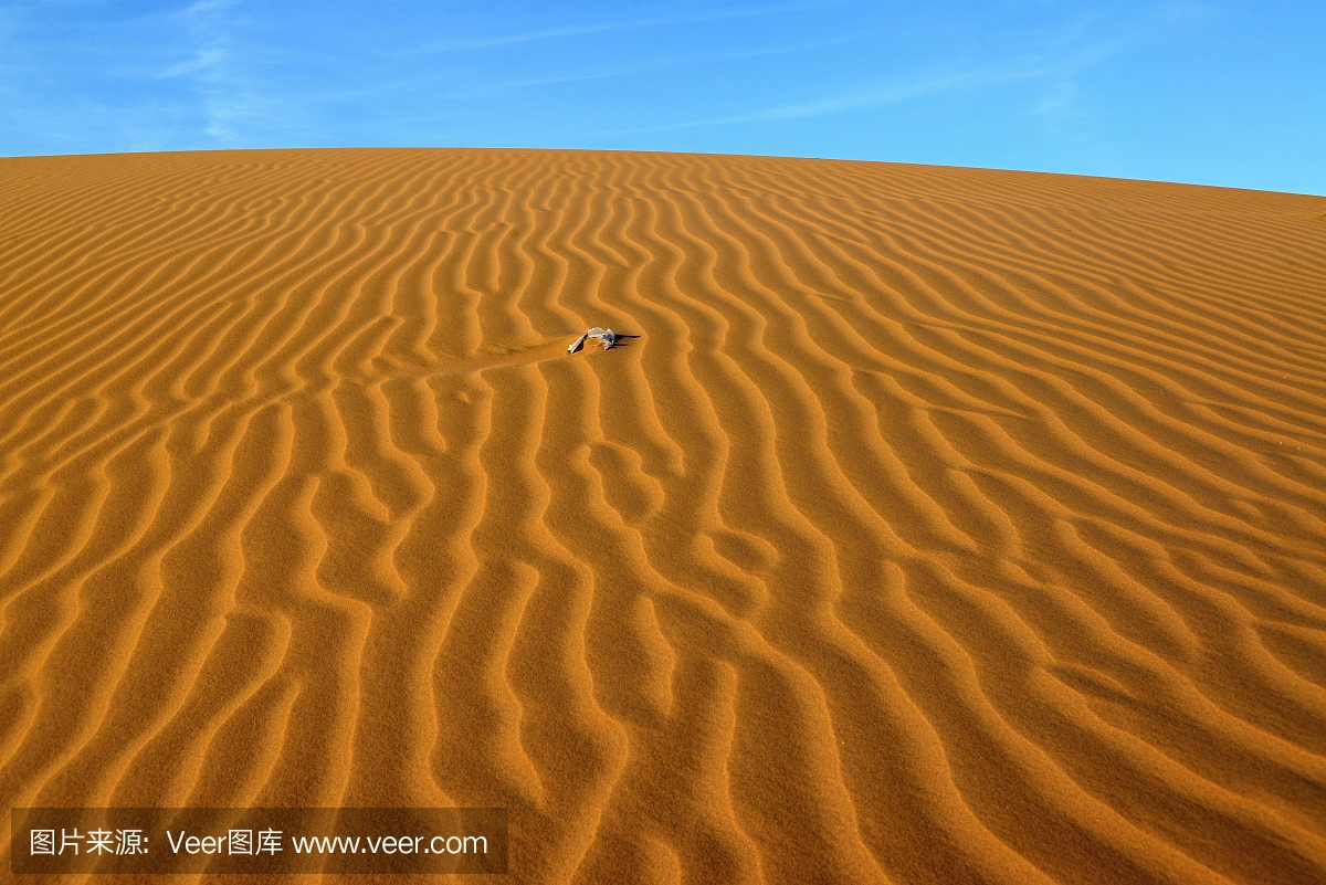 撒哈拉沙漠在摩洛哥