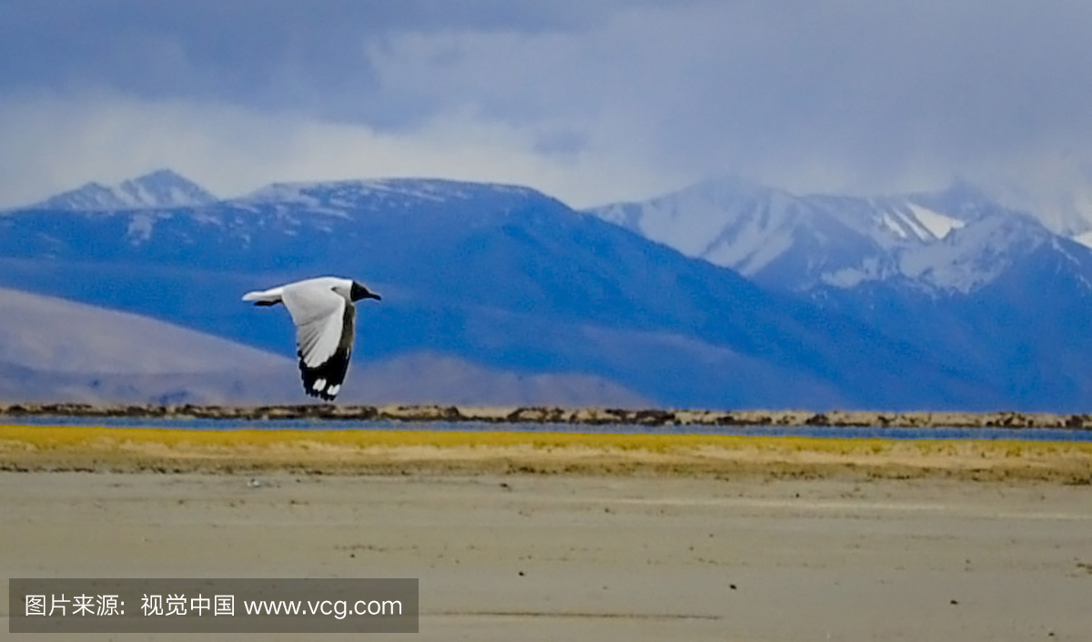 在印中边界附近飞行