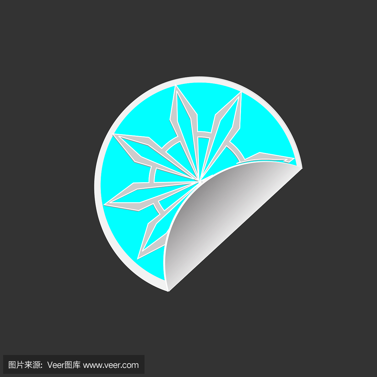 幽灵管鱼,鬼龙,真人秀,网络直播