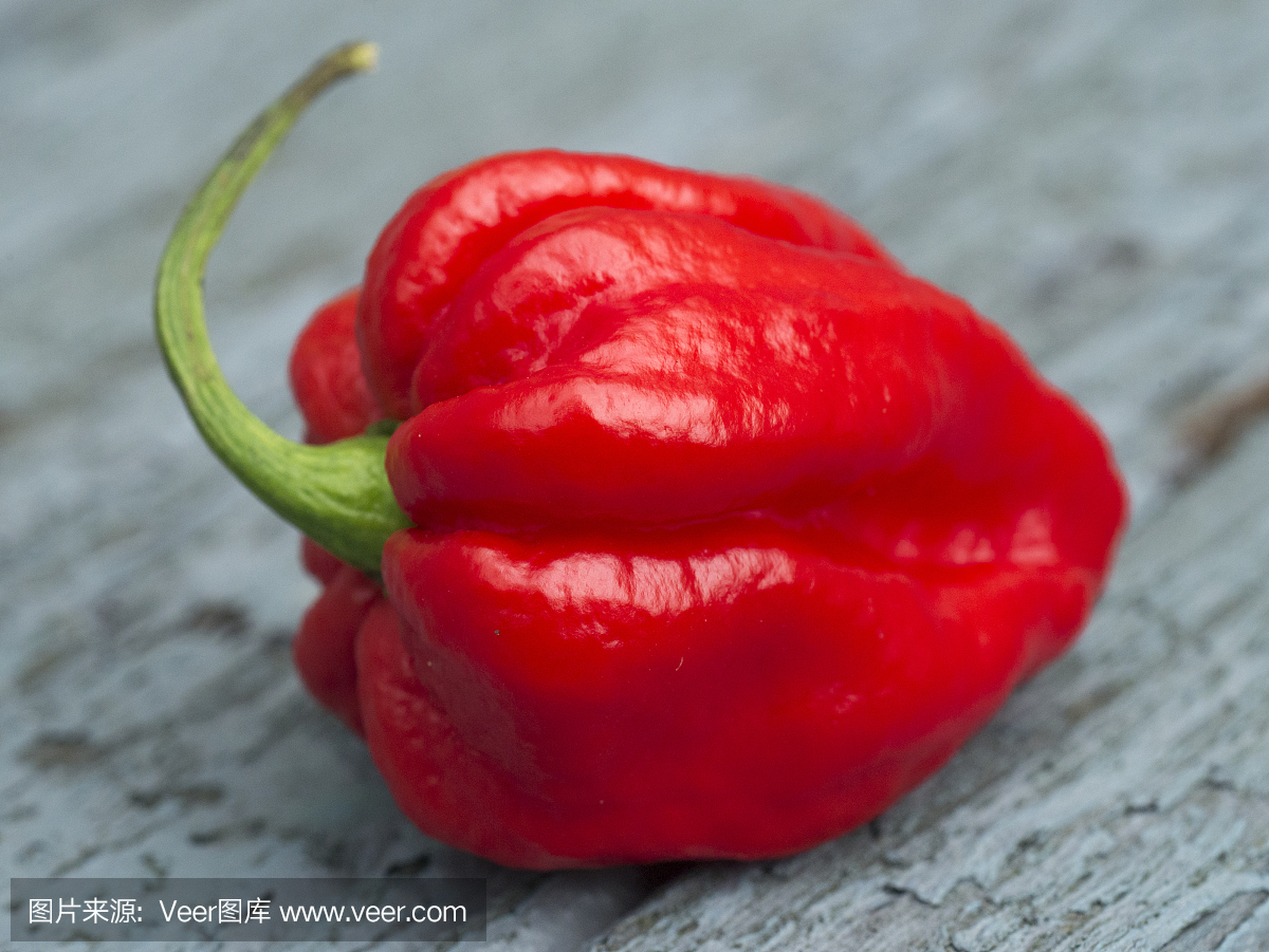 Carolina Reaper辣椒