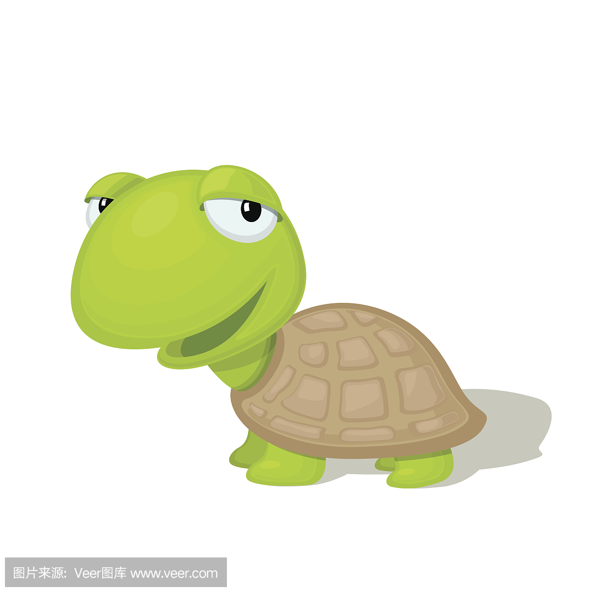 海龟,大海龟,龟,元鱼