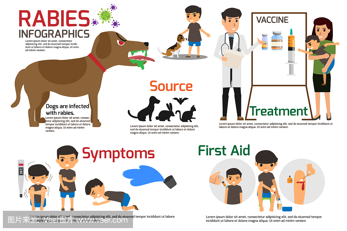 狂犬病信息图表。描述症状和药物或疫苗的狂犬