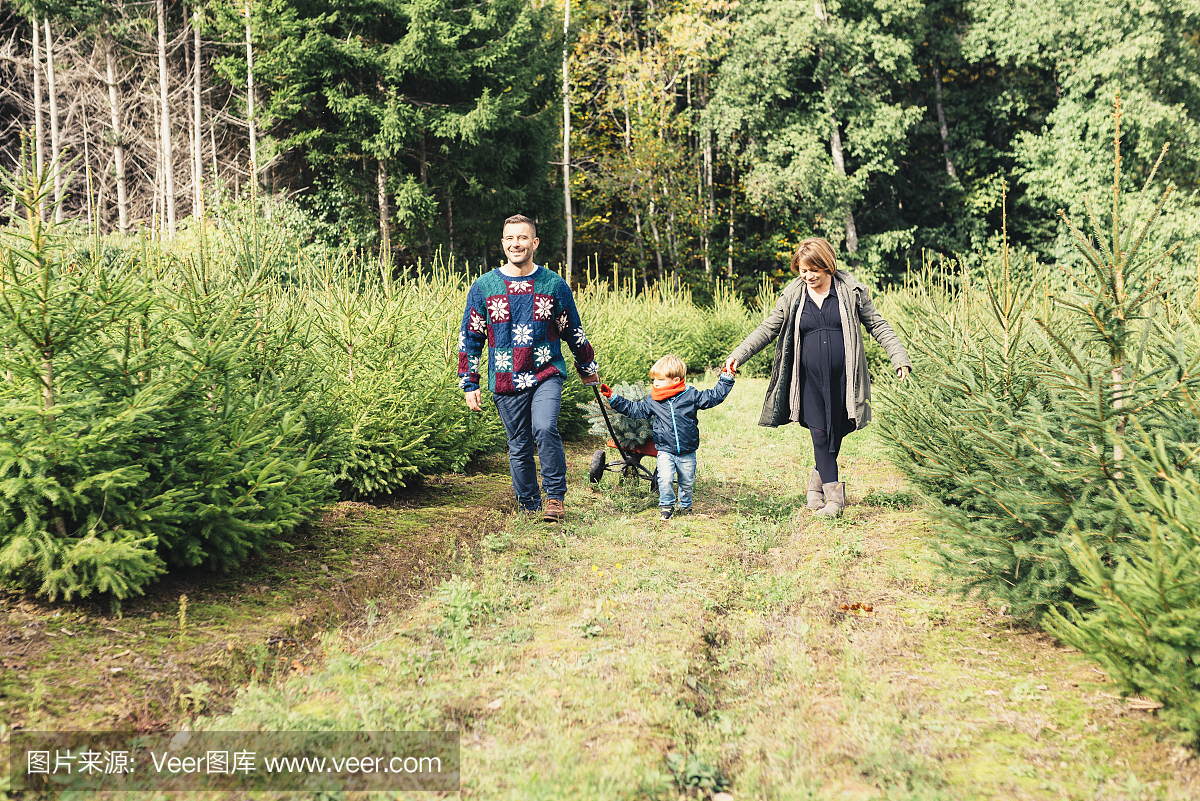 幸福的家庭带回家圣诞树