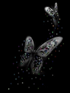 手机墙纸蝴蝶动态