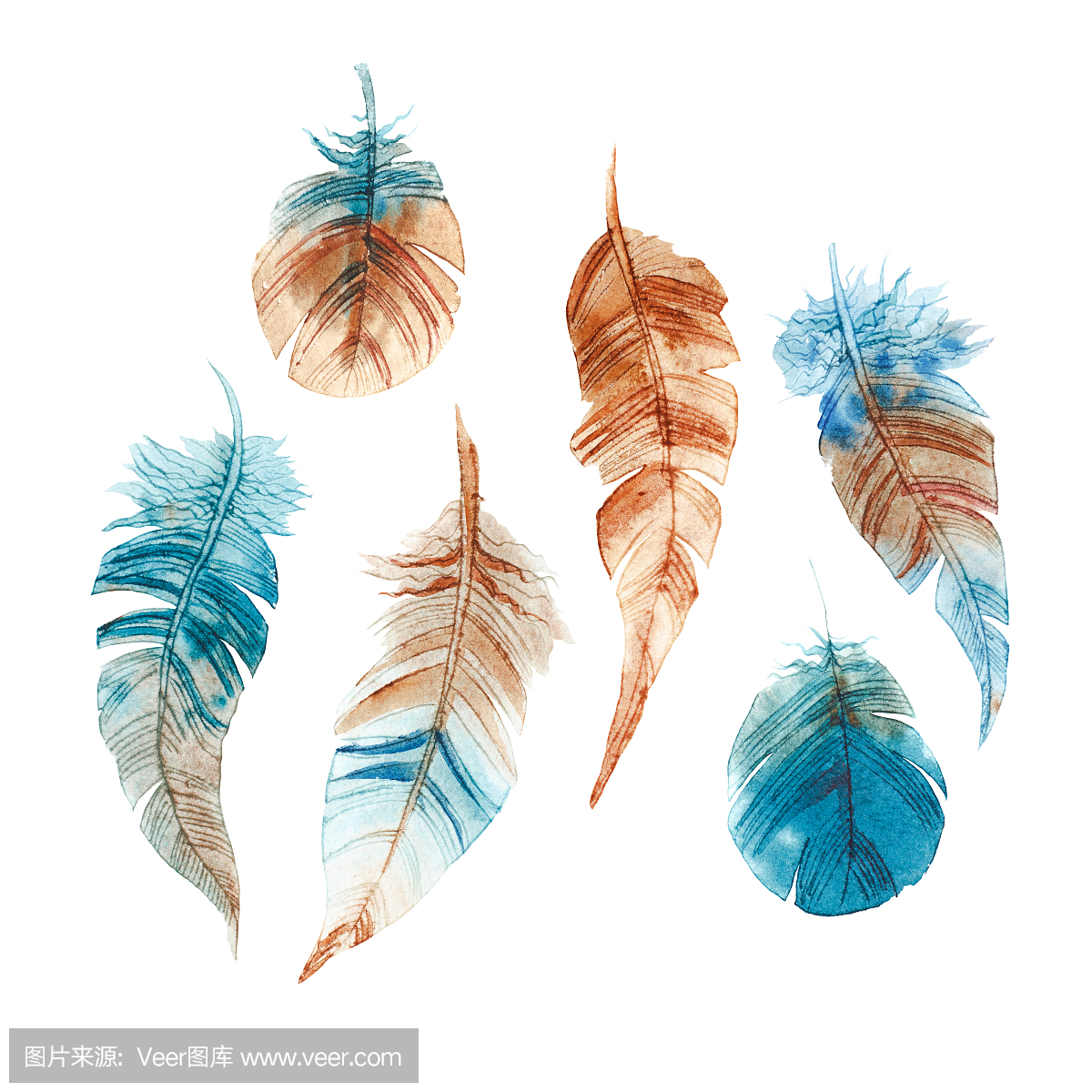 一套手绘水彩画充满活力的羽毛。在Boho和Ru